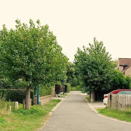 Tatil Evi De Veldmuis, Met Mooie Speelhoek En Speelhuis *