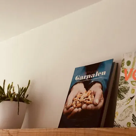 Tatil Evi De Veldmuis, Met Mooie Speelhoek En Speelhuis Koksijde