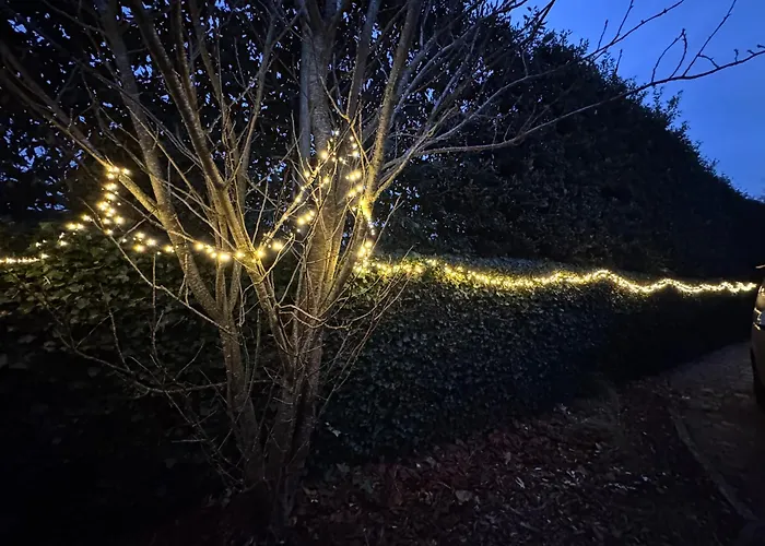Ferienhaus De Veldmuis, Met Mooie Speelhoek En Speelhuis *