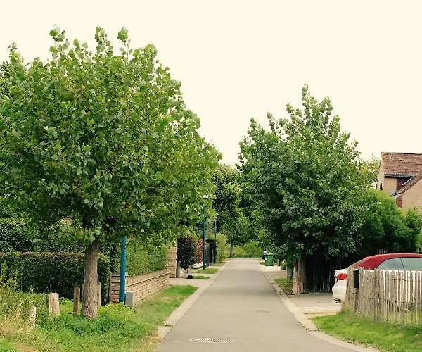 Ferienhaus De Veldmuis, Met Mooie Speelhoek En Speelhuis *